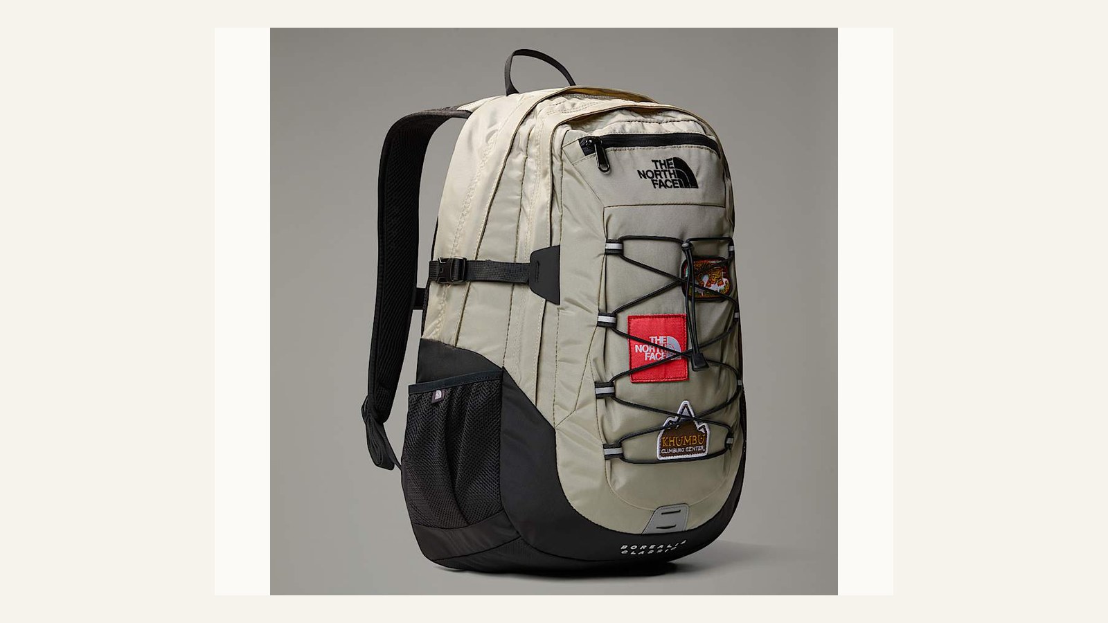 The North Face Borealis Classic Backpack for student campus carry